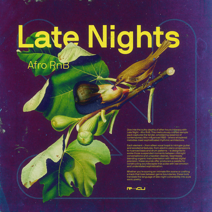 Late Nights - Afro RnB Sample Pack