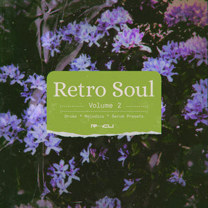 Retro Soul 2 - RnB/Synthwave Sample & Serum Preset Pack
